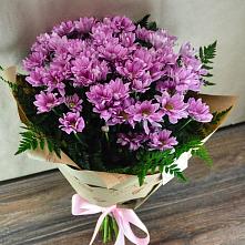 Букет цветов из:  Хризантемы #REPLACE_PRED# Тырныаузе