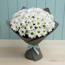 Букет цветов из:  Хризантемы в Тырныаузе