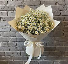 Букет цветов из:  Ромашки в Тырныаузе