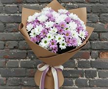 Букет цветов из:  Хризантемы в Тырныаузе