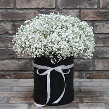 Цветочная композиция из Гипсофила в шляпной коробке в Тырныаузе