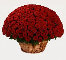 Премиум букет из: Розы в Тырныаузе