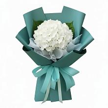 Букет цветов из:  Гортензия #REPLACE_PRED# Тырныаузе